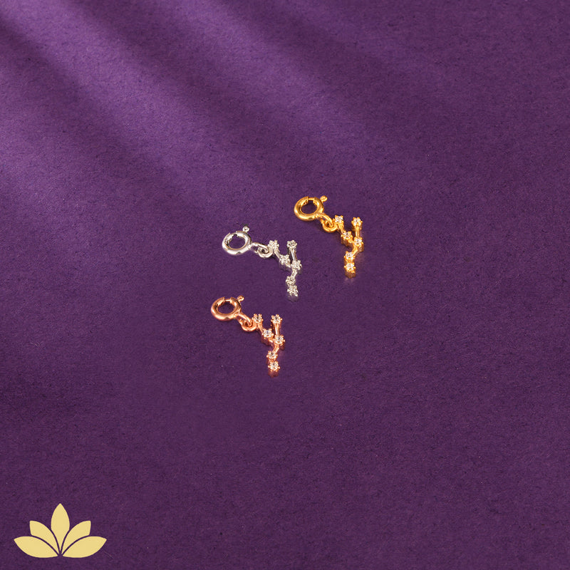 Constellation Charms